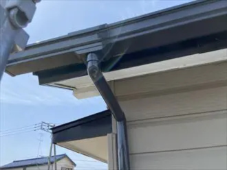 ブラウン色の集水器